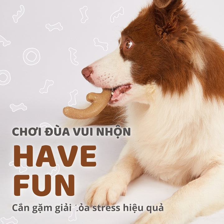 Đồ Chơi Fofos Xương Gặm Sợi Gỗ Thông Chó