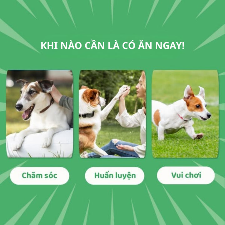 Xương Nơ DoggyMan Hương Gà, Hương Sữa Cho Chó, Gói 10 Cây