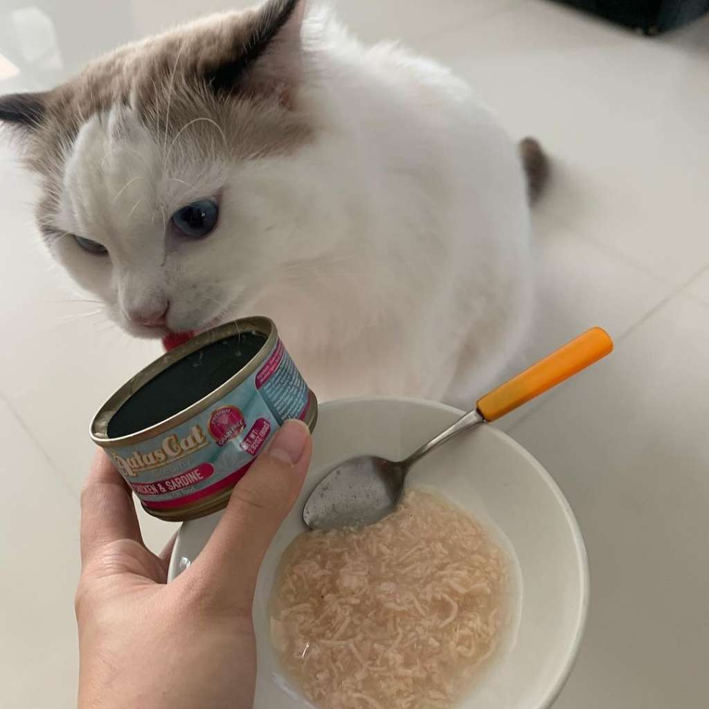 Pate Aatas cho mèo mọi lứa tuổi, lon 80g | Pet's Warehouse