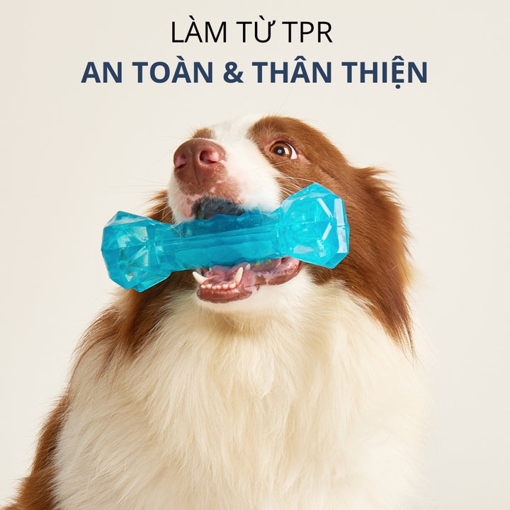 Đồ Chơi Fofos Xương Gặm Mát Lạnh Chó