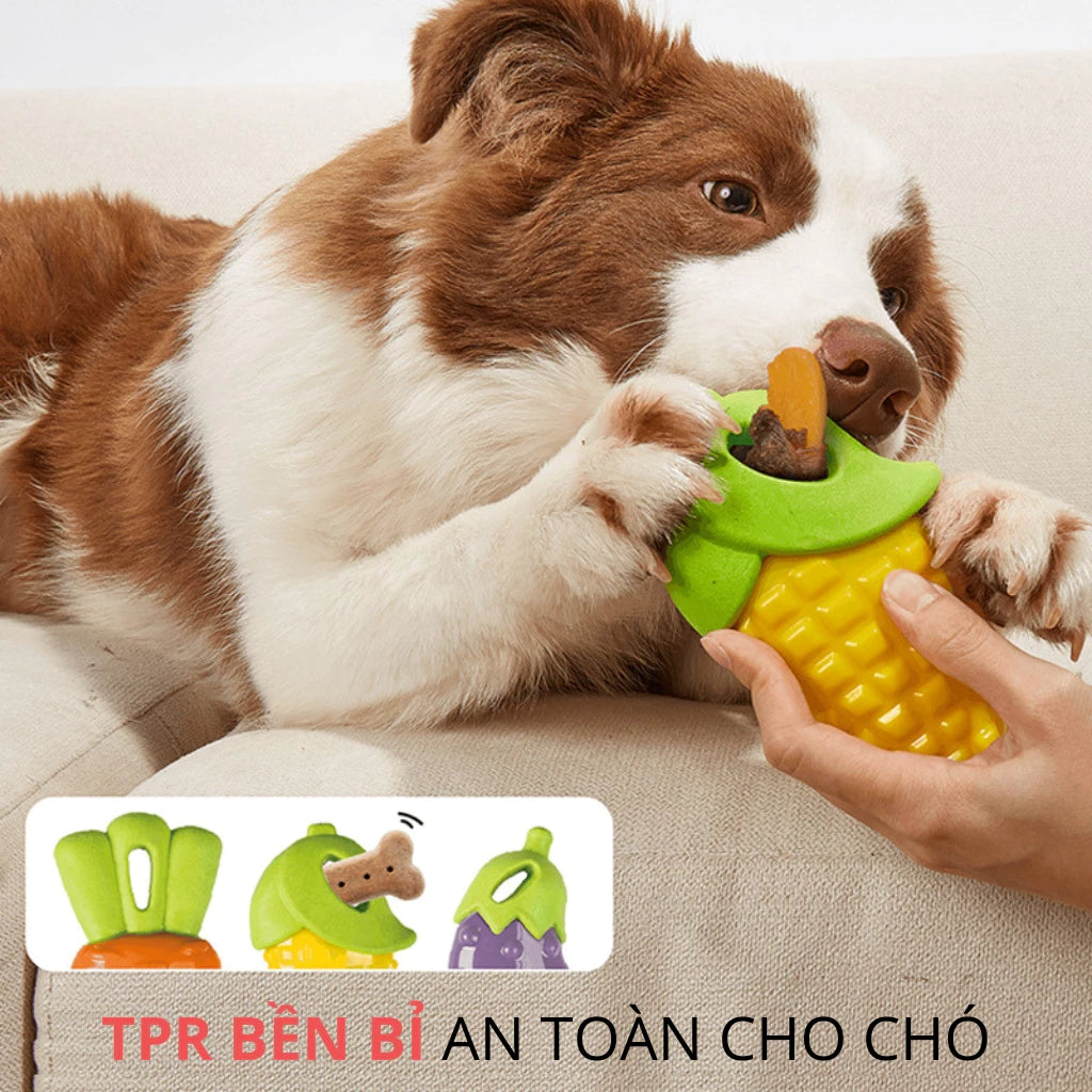 Đồ Chơi Fofos Nhai Gặm Hình Trái Cây Chó