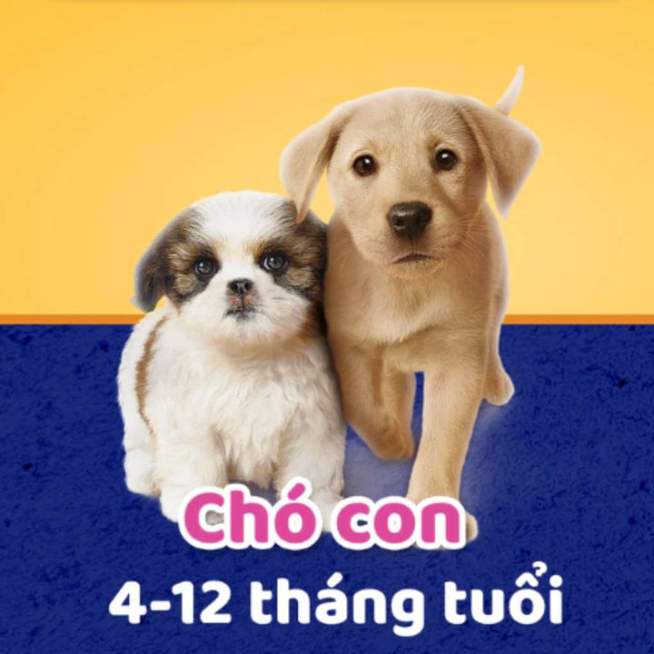 Bánh Xương Pedigree DentaStix Chó Con