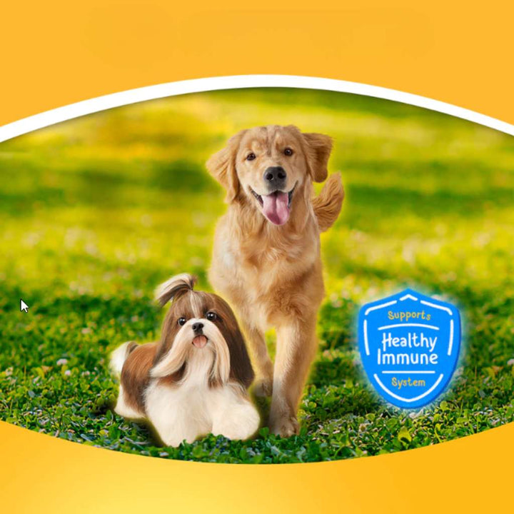 Pate Pedigree Chó Trưởng Thành Vị Gà Nấu Sốt 130G