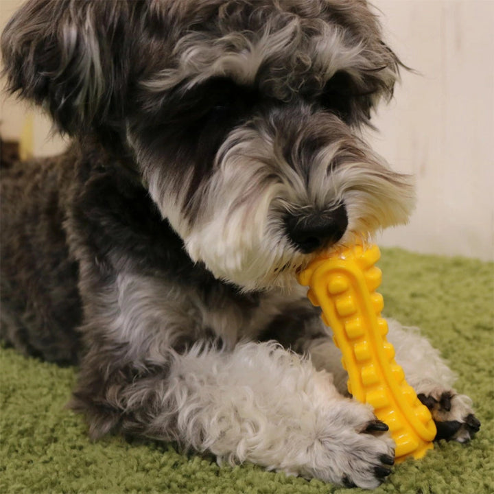 Xương Gặm Cao Su Siêu Bền DoggyMan