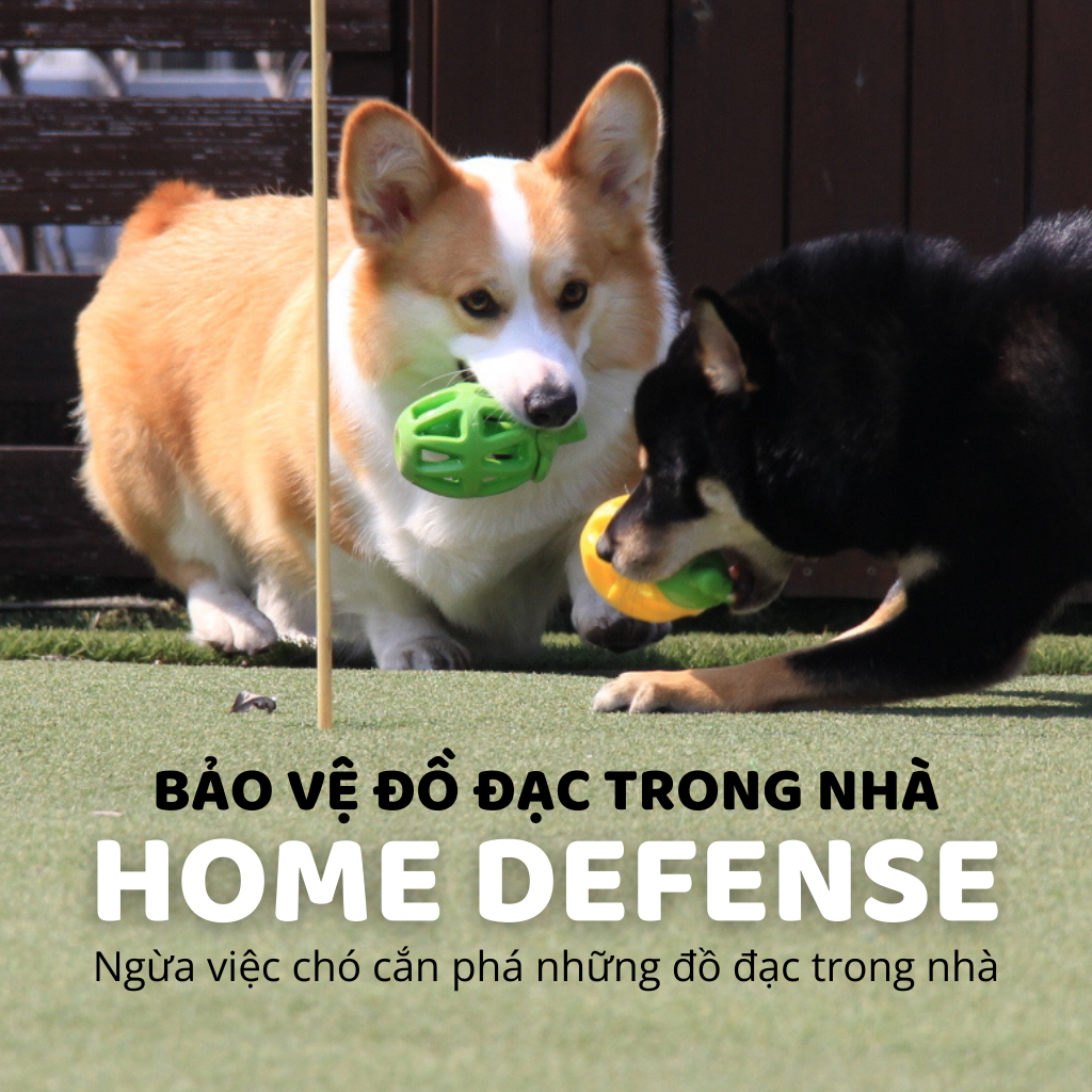 Đồ Chơi Fofos Rớt Thức Ăn Hình Trái Cây Chó