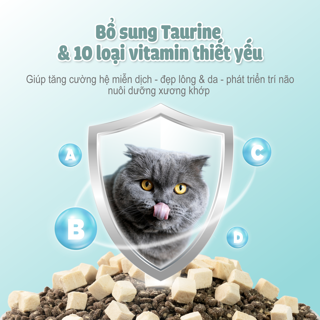 Thức Ăn Hạt Macaron D10, D5 PetQ Cho Mèo 200g