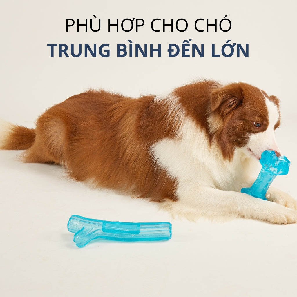 Đồ Chơi Fofos Xương Gặm Mát Lạnh Chó