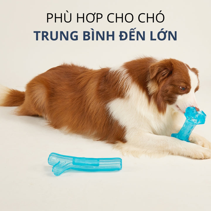 Đồ Chơi Fofos Xương Gặm Mát Lạnh Chó