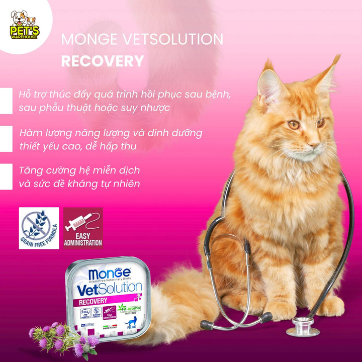 Pate Mèo Monge Vet Solution Hỗ Trợ Chăm Sóc Sức Khỏe, Hộp 100g