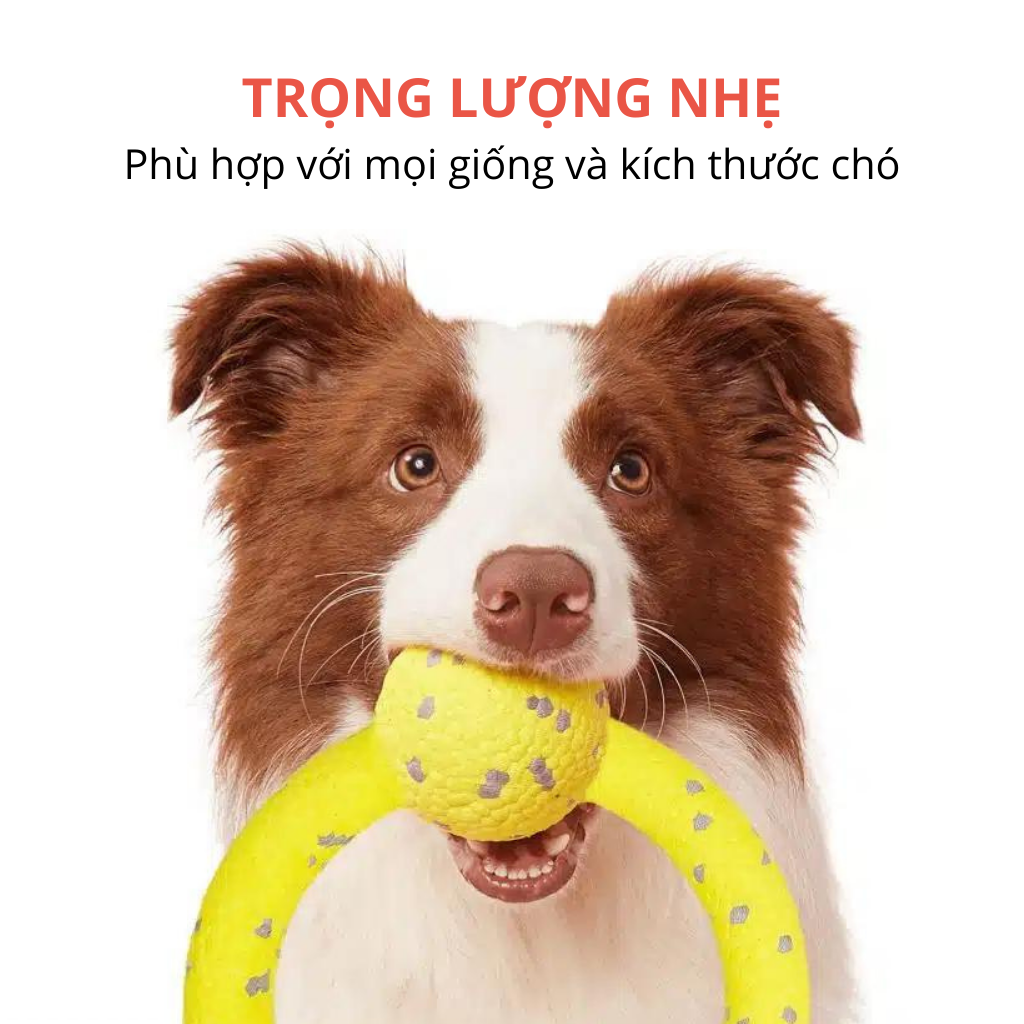 Đồ Chơi Fofos Siêu Bền Chó