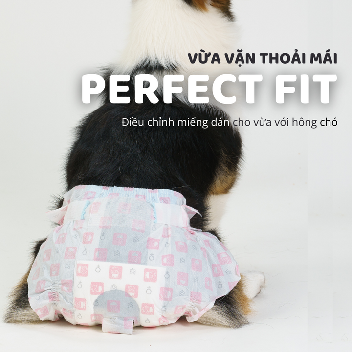 Tã Quần Fofos Chó Cái Mọi Lứa Tuổi