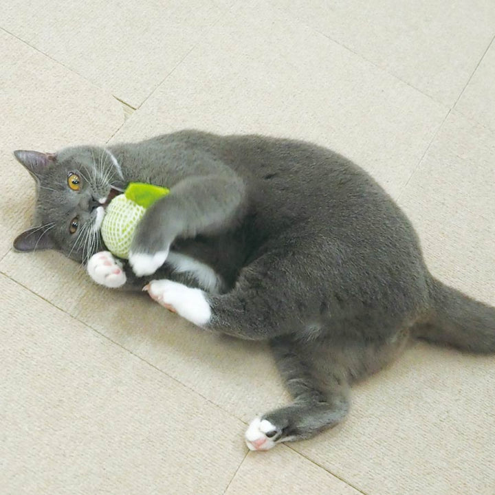 Đồ Chơi Sạch Răng CattyMan Cho Mèo, Hình Dưa Lưới & Tôm Chiên