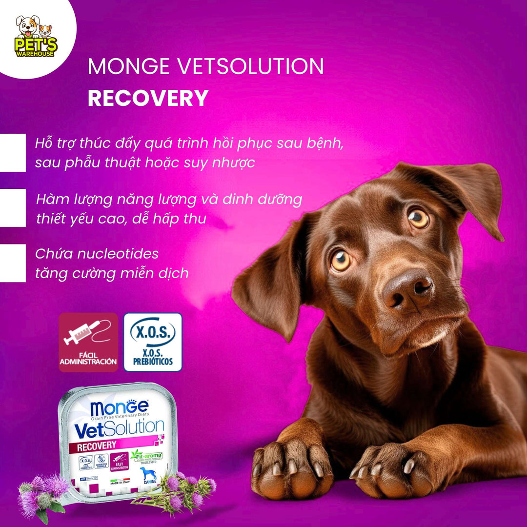 Pate Chó Monge Vet Solution Hỗ Trợ Chăm Sóc Sức Khỏe, Hộp 150g