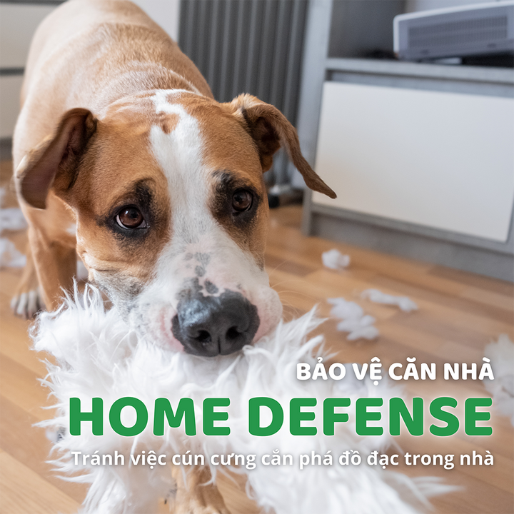 Đồ Chơi Fofos Chó Phiên Bản Trái Cây Mùa Hè