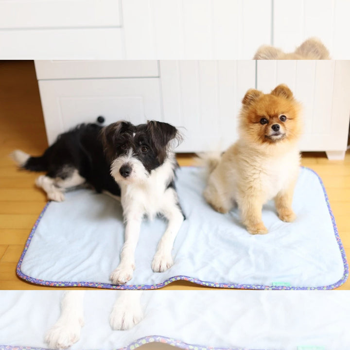 Thảm Nằm Mùa Hè DoggyMan Cho Chó Mèo