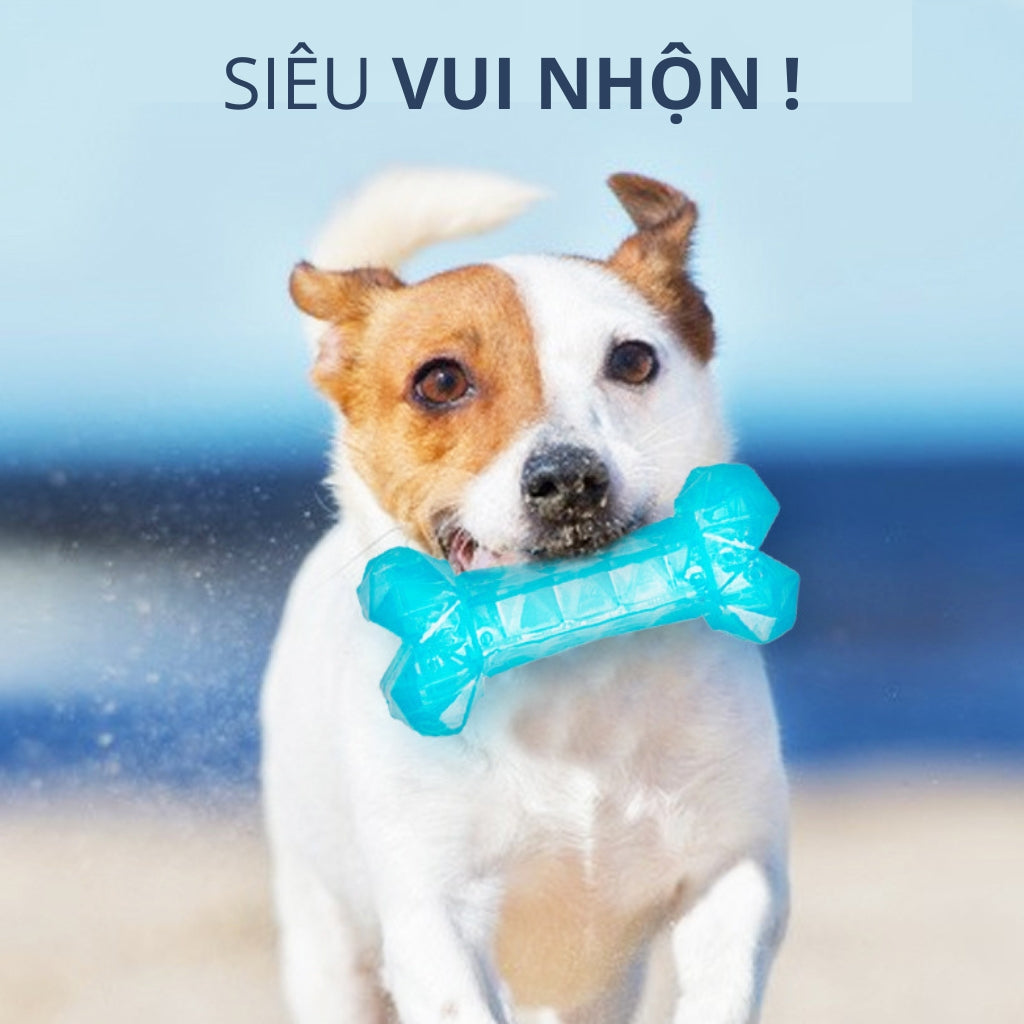 Đồ Chơi Fofos Xương Gặm Mát Lạnh Chó