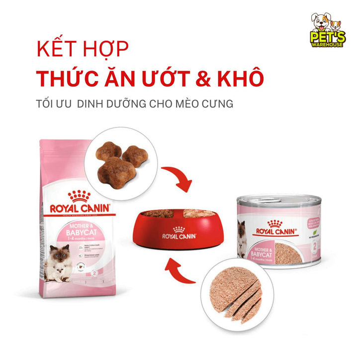 Pate Royal Canin Mother & Baby Cho Mèo Mẹ & Mèo Con 1 - 4 Tháng Tuổi, Lon 195g
