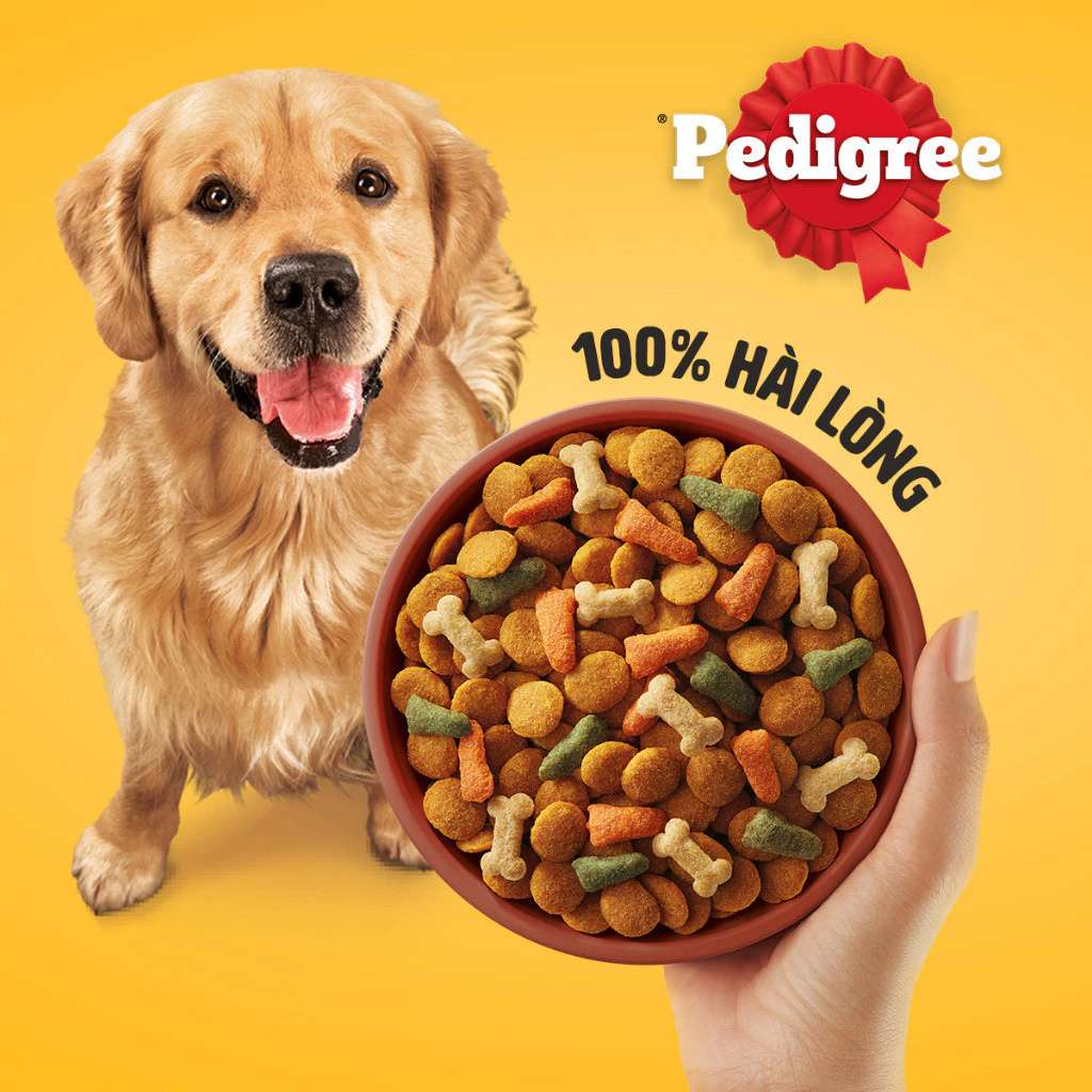 Hạt Pedigree Chó Trưởng Thành 3KG
