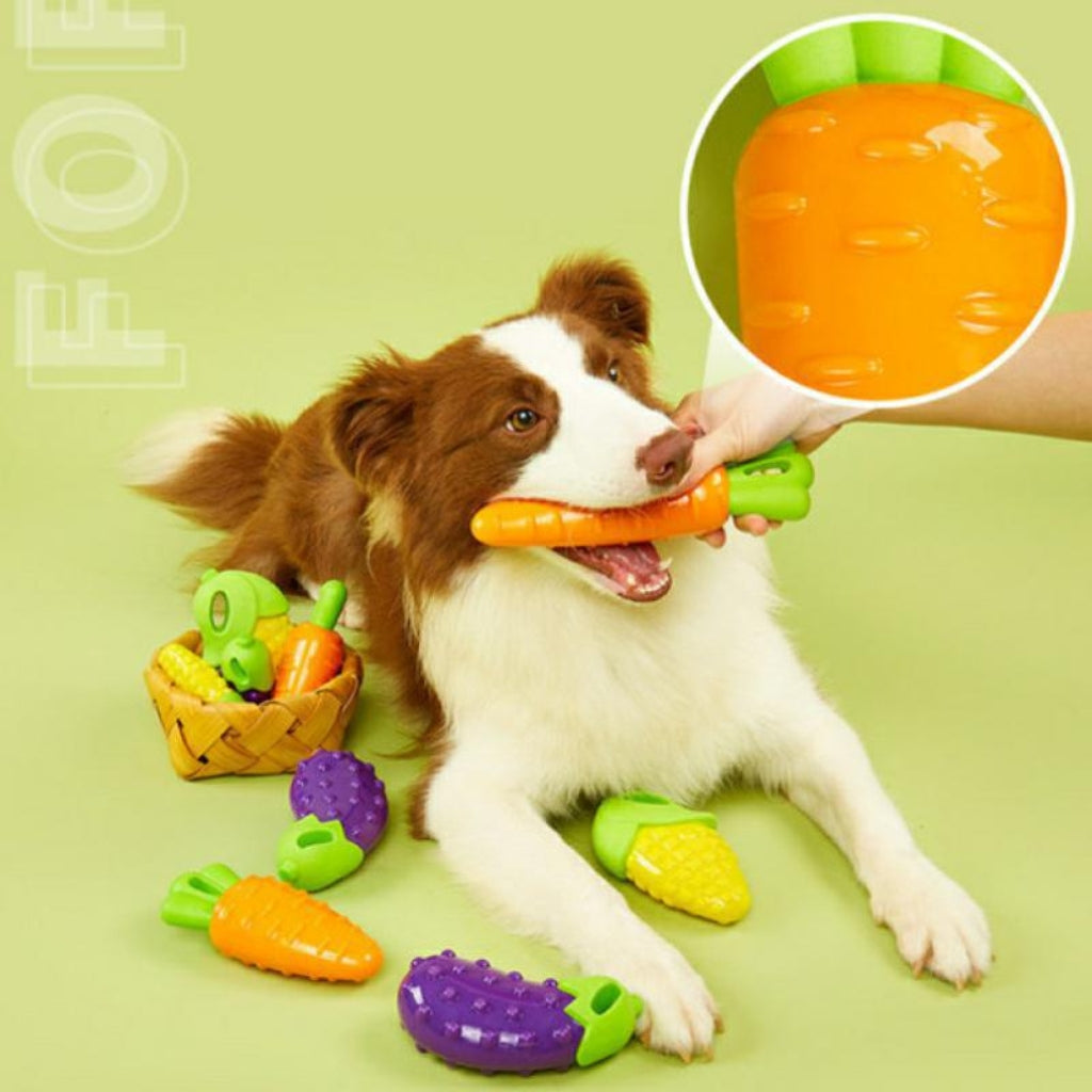 Đồ Chơi Fofos Nhai Gặm Hình Trái Cây Chó