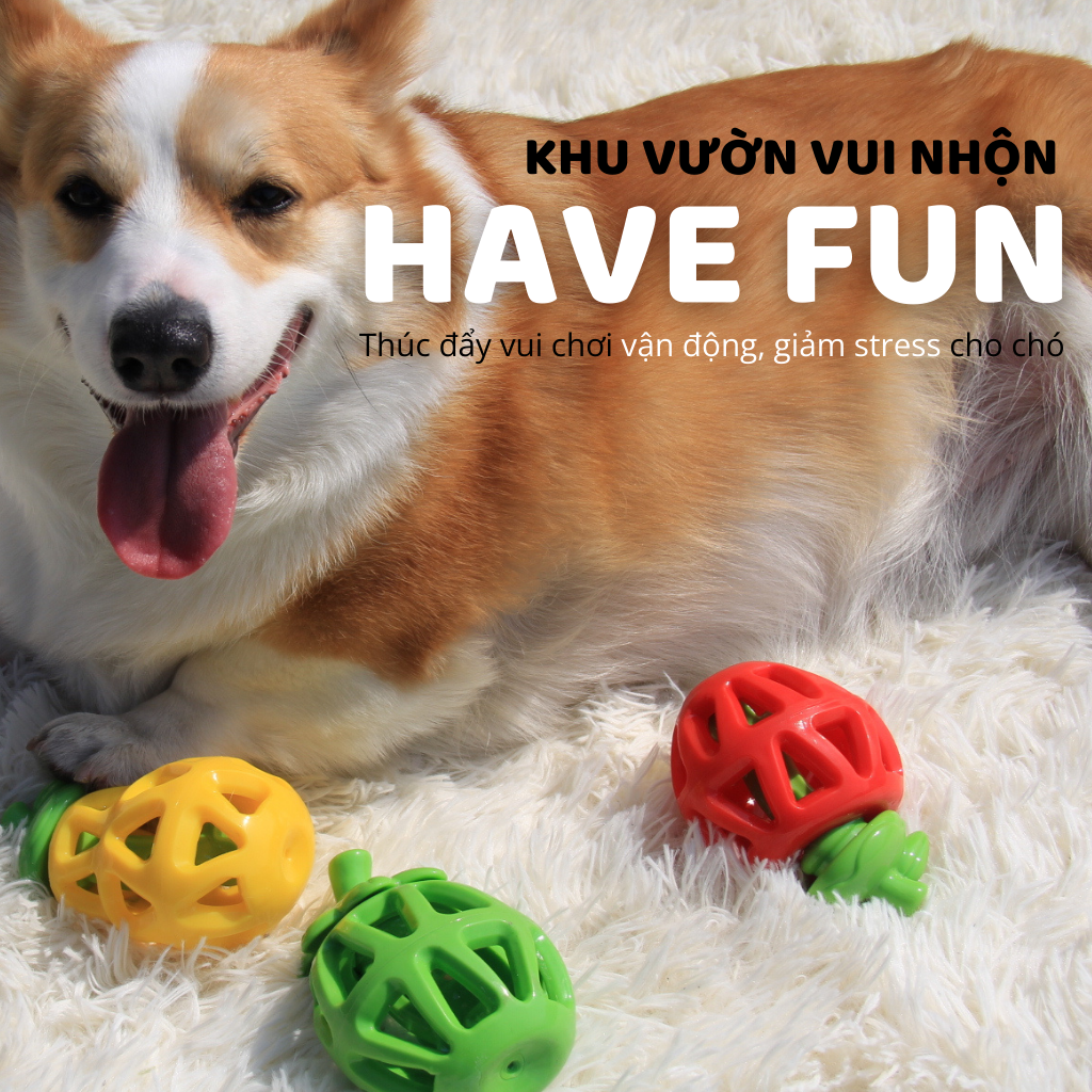 Đồ Chơi Fofos Rớt Thức Ăn Hình Trái Cây Chó