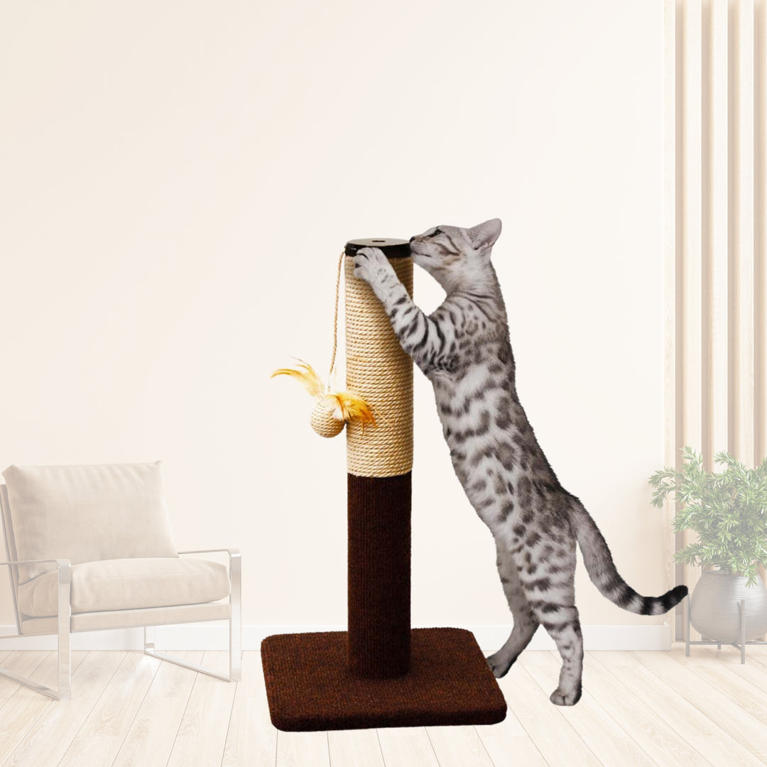 Trụ Cào Cho Mèo CattyMan, Đế Vuông & Đế Tam Giác