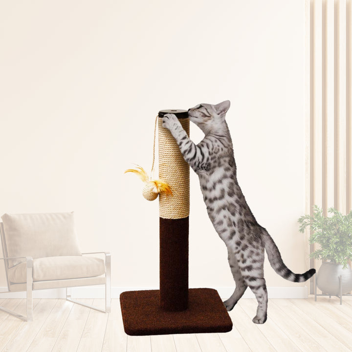 Trụ Cào Cho Mèo CattyMan, Đế Vuông & Đế Tam Giác