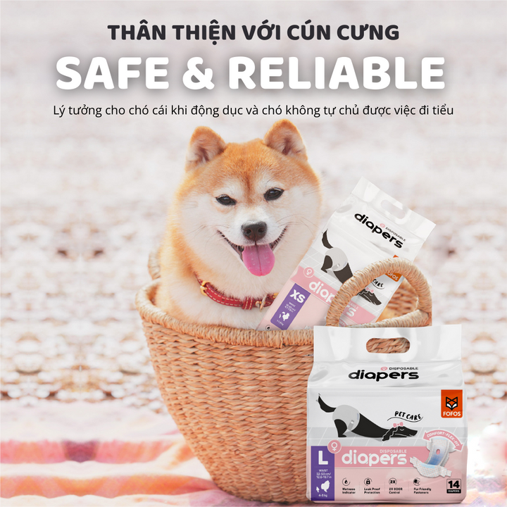 Tã Quần Fofos Chó Đực Mọi Lứa Tuổi