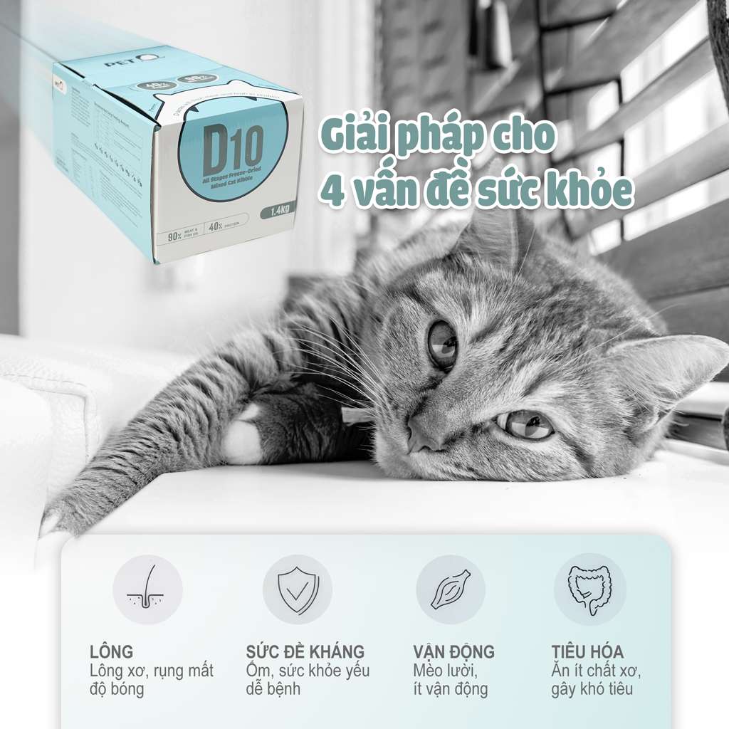Thức Ăn Hạt Macaron D10, D5 PetQ Cho Mèo, Hộp 1.4Kg ( 7 gói x 200g)