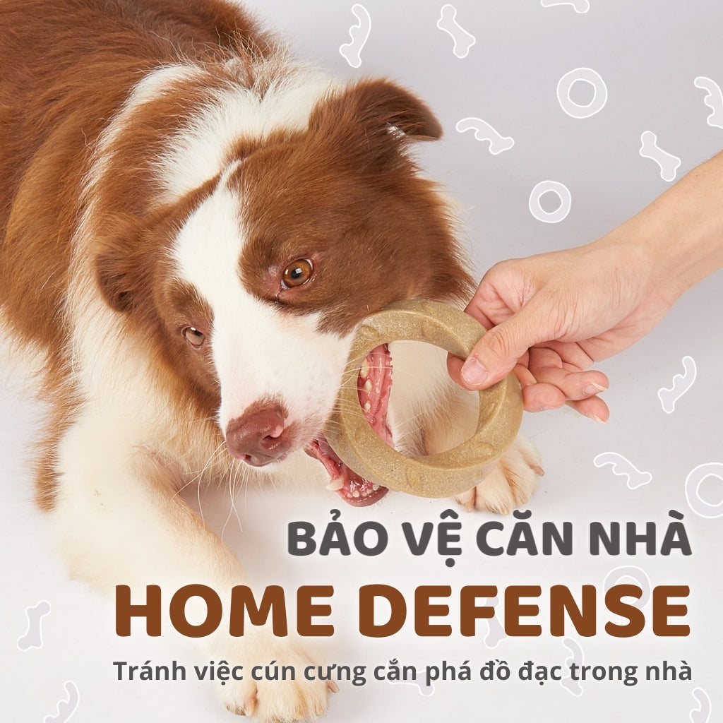 Đồ Chơi Fofos Xương Gặm Sợi Gỗ Thông Chó