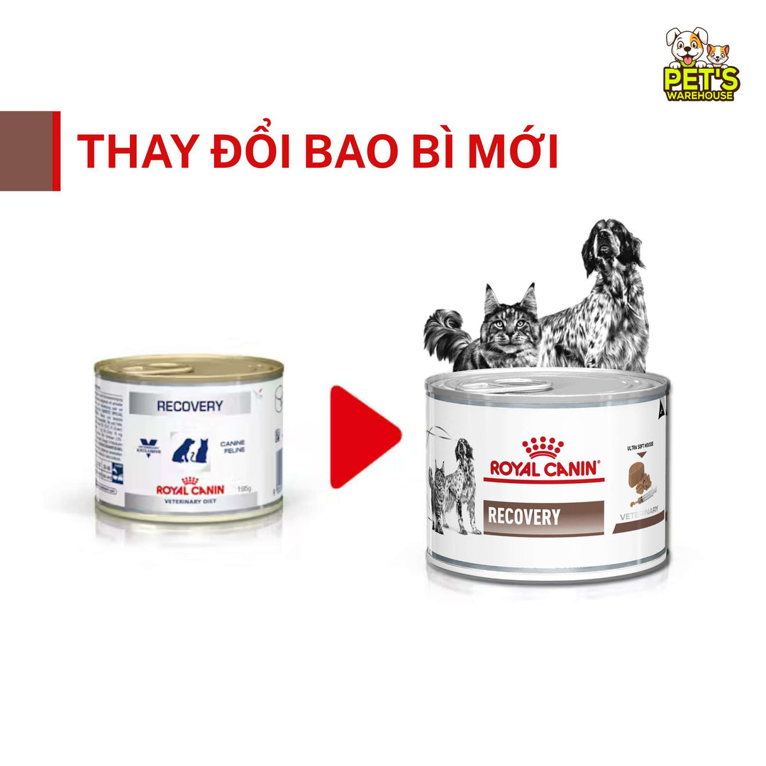 Pate Royal Canin Recovery Cho Chó Mèo, Lon 195g