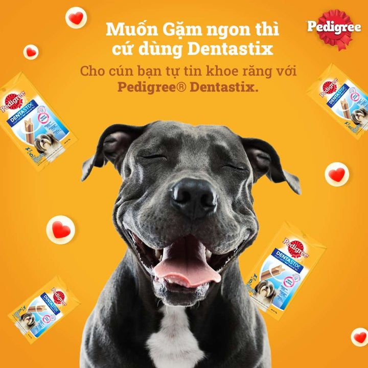 Bánh Xương Pedigree DentaStix Chó