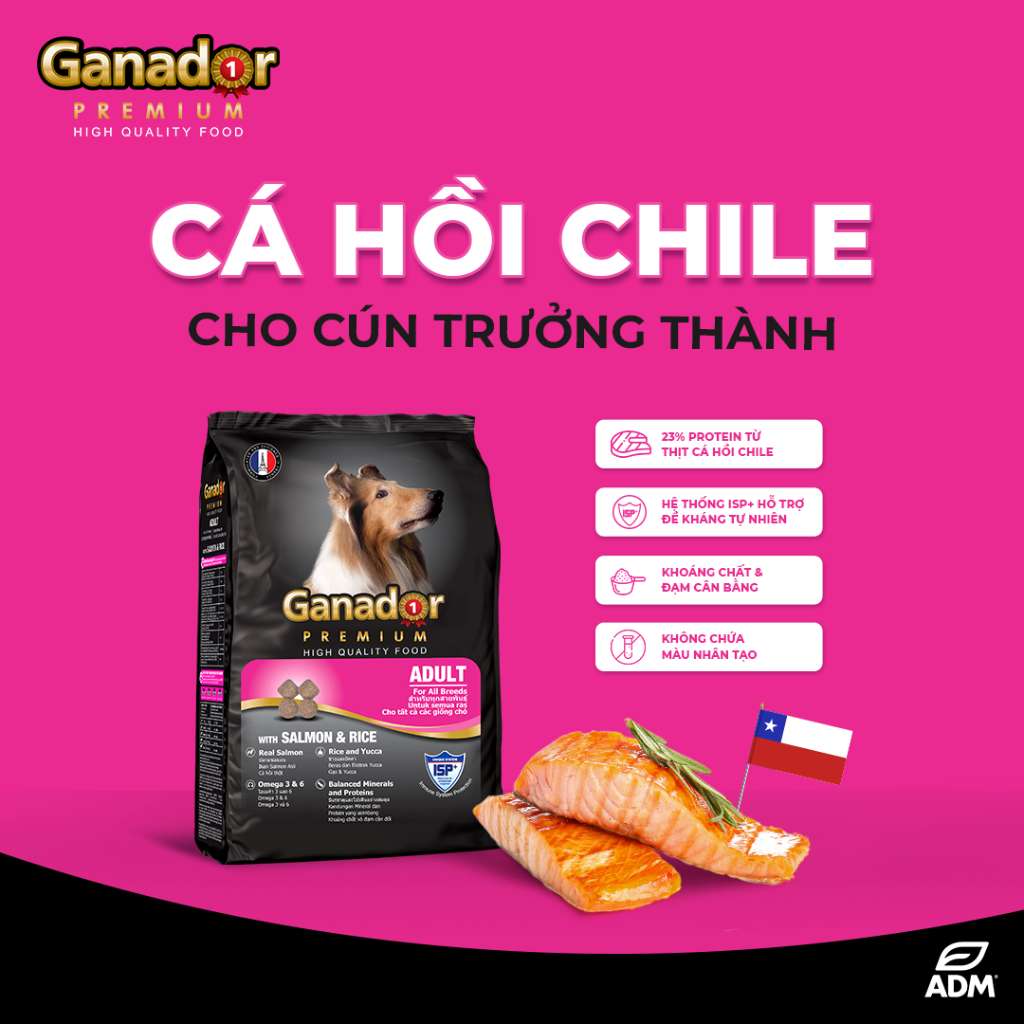 Hạt Ganador cho chó mọi lứa tuổi, nhiều vị, 3kg | Pet's Warehouse