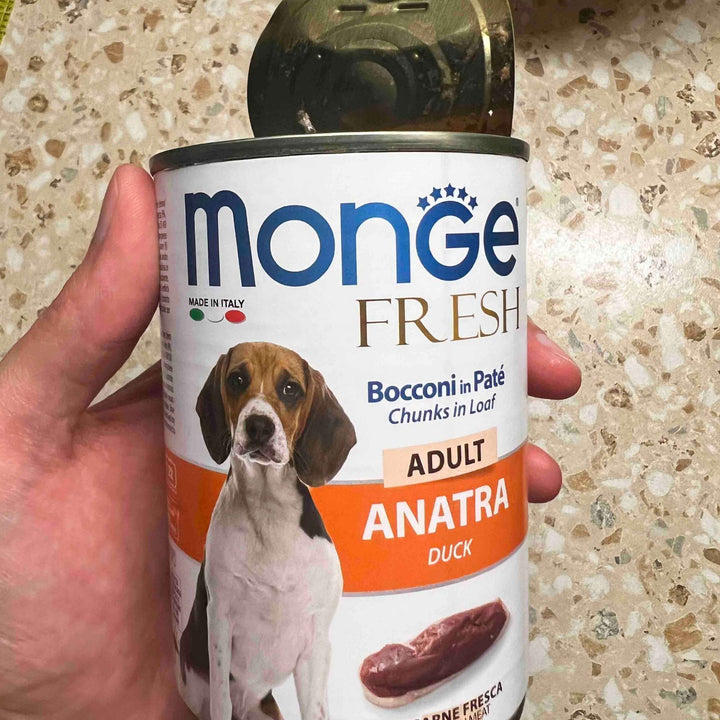 Pate Monge Cho Chó Trưởng Thành Nhiều Vị , Lon 400g