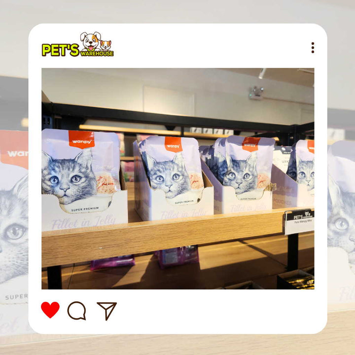 Pate Super Premium Wanpy Cho Mèo Gói 85G