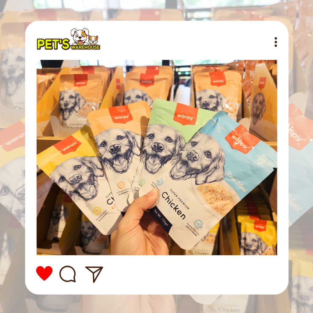 Pate Super Premium Wanpy Cho Chó Gói 100G