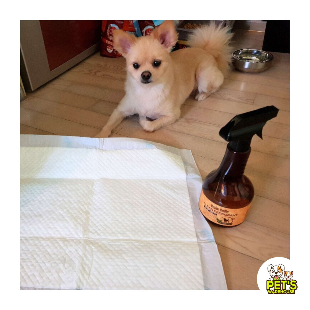 Xịt Khử Mùi Dưỡng Lông Chó Budle'Budle, 530ML