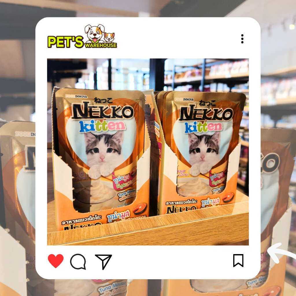 Pate mèo con Nekko, Thái Lan, gói 70g | Pet's Warehouse