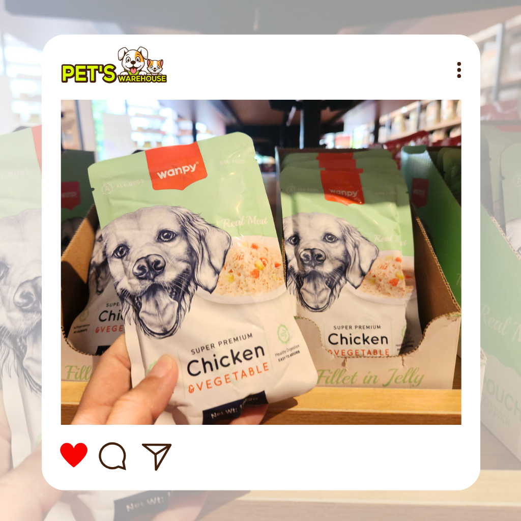 Pate Super Premium Wanpy Cho Chó Gói 100G