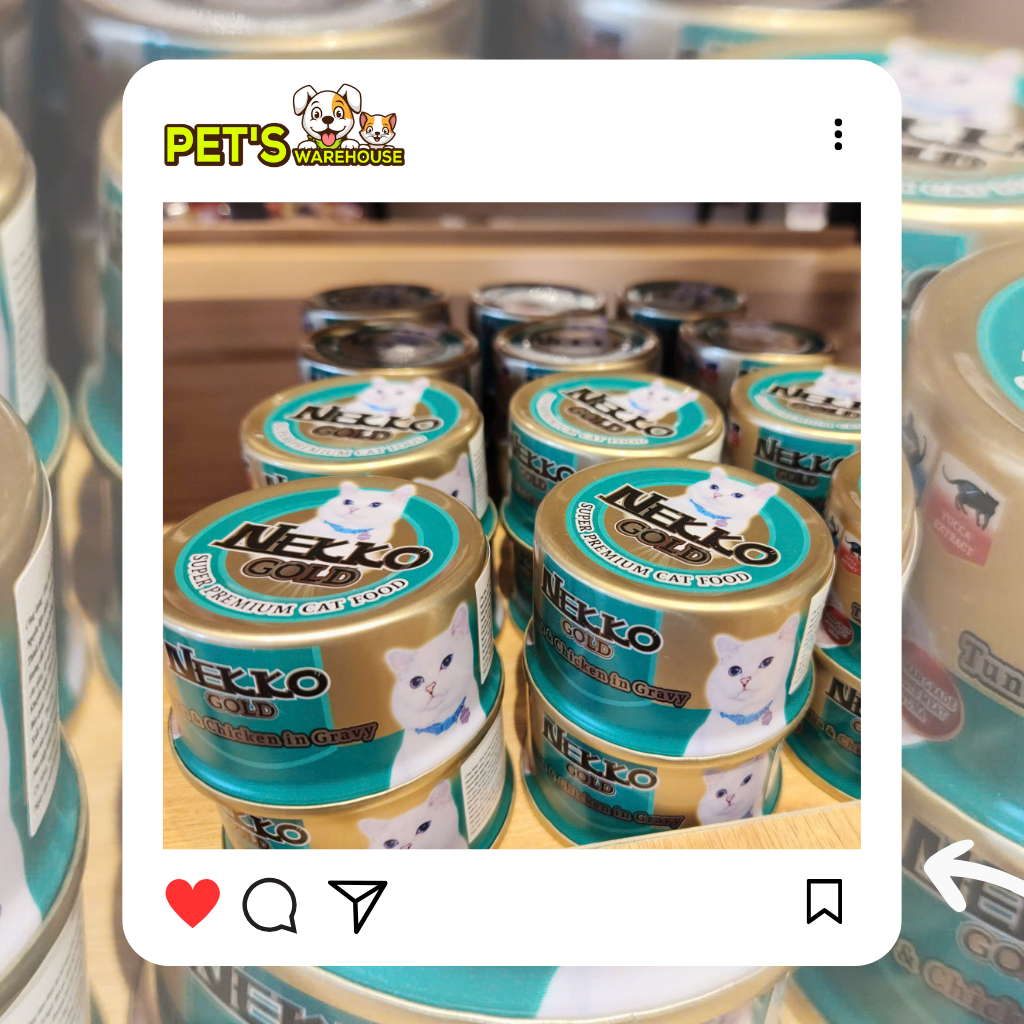 Pate Nekko Gold cho mèo trưởng thành, Thái Lan, lon 85g | Pet's Warehouse
