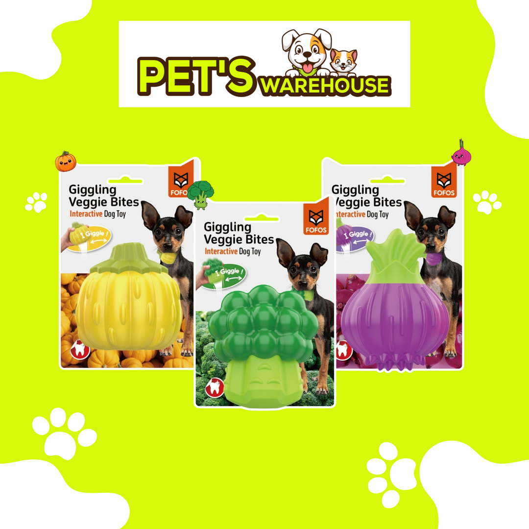 Đồ Chơi Fofos Nhai Gặm Hình Rau Củ Chó