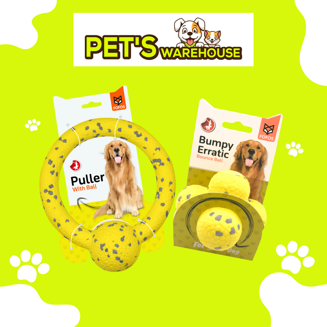 Đồ Chơi Fofos Siêu Bền Chó