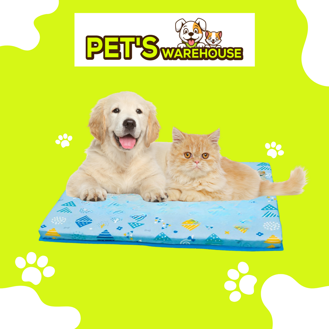 Nệm Chữ Nhật DoggyMan Cho Chó Mèo