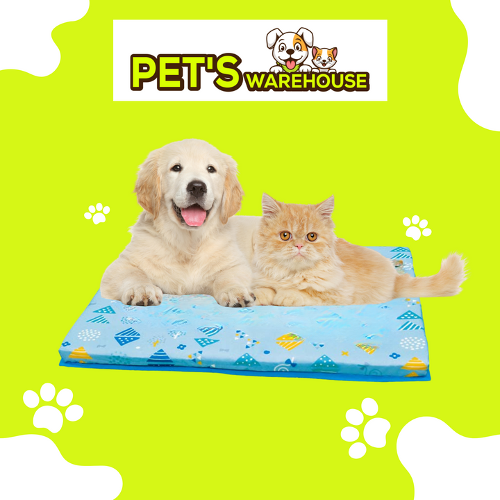 Nệm Chữ Nhật DoggyMan Cho Chó Mèo