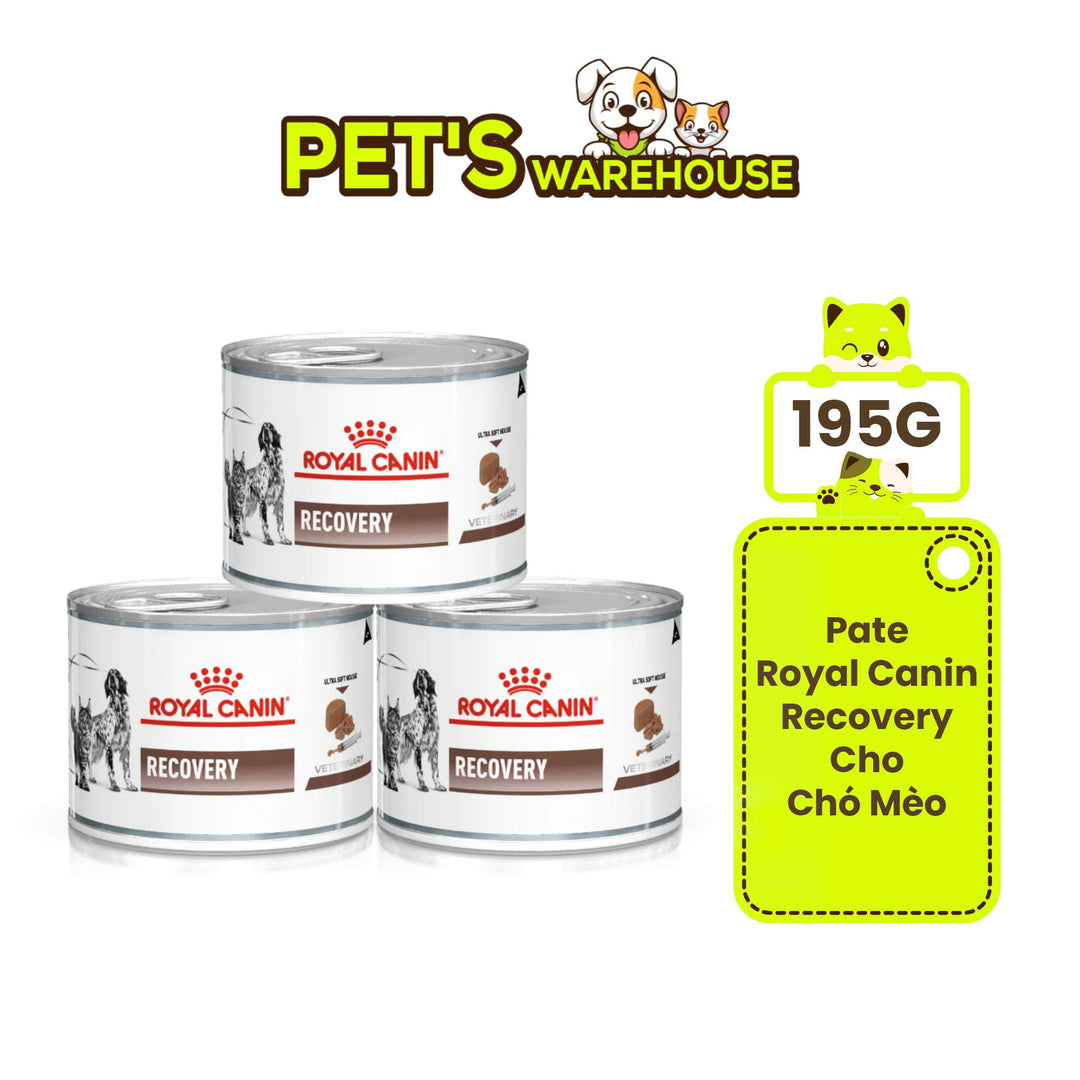Pate Royal Canin Recovery Cho Chó Mèo, Lon 195g