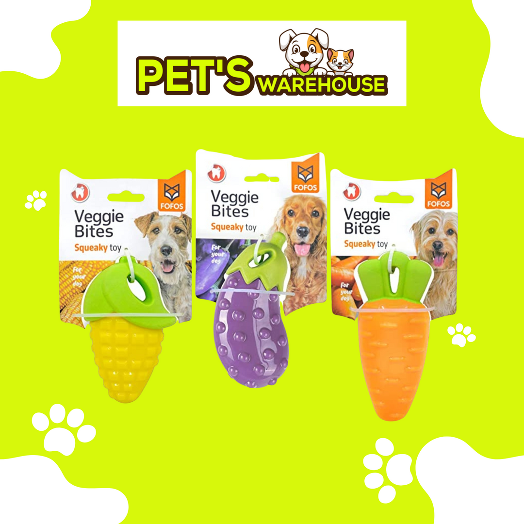 Đồ Chơi Fofos Nhai Gặm Hình Trái Cây Chó