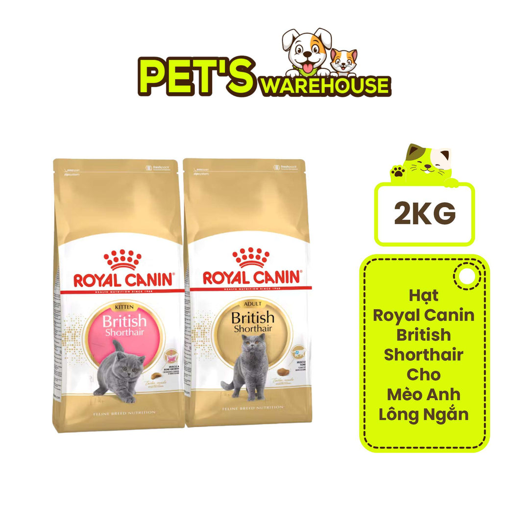 Hạt Cho Mèo Anh Lông Ngắn Royal Canin British Shorthair, Túi 2Kg