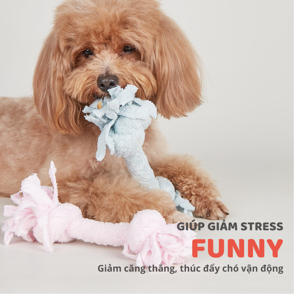 Đồ Chơi Fofos Thú Bông - Xương Gặm Chó