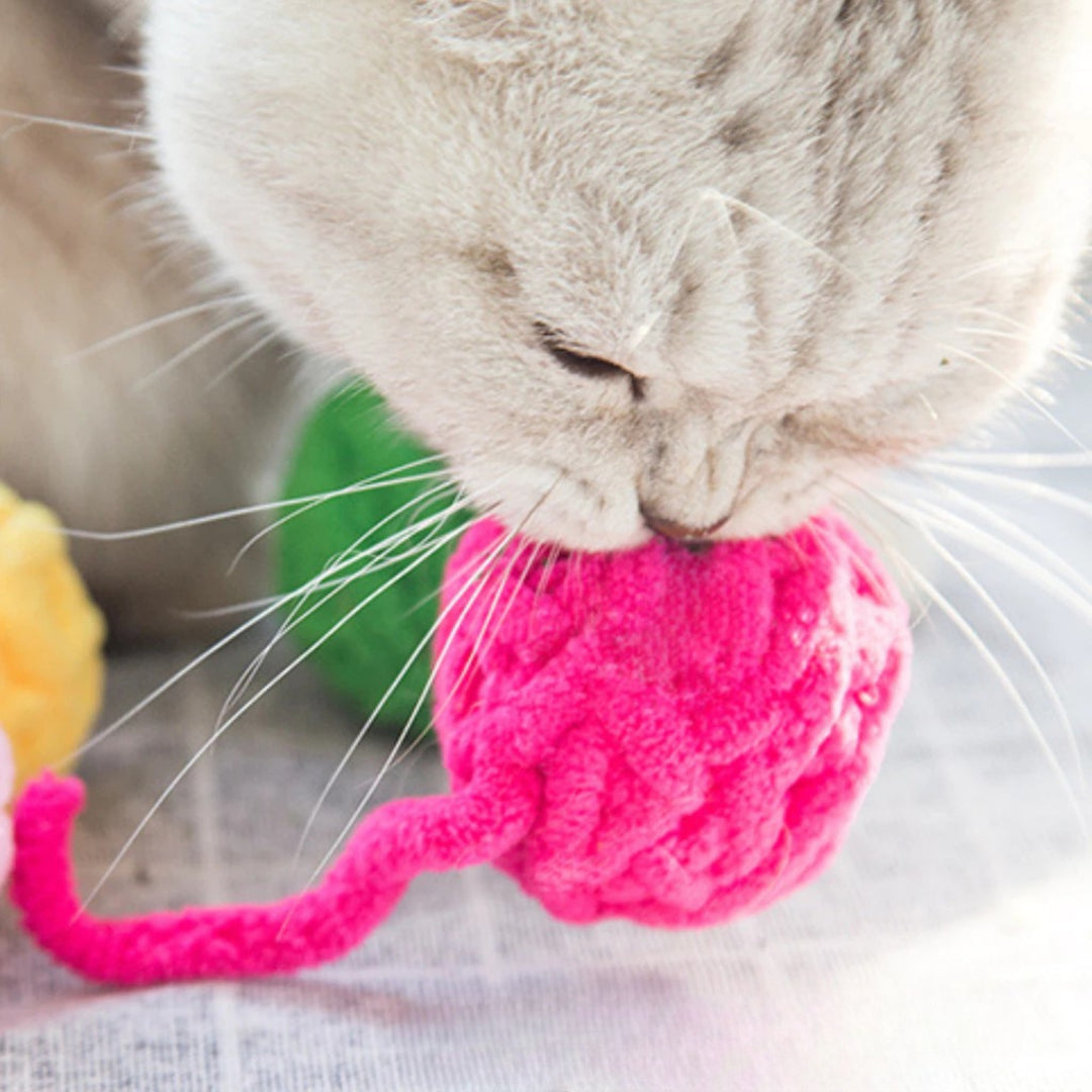 Đồ Chơi Fofos Banh Tròn Nhiều Hình Cho Mèo