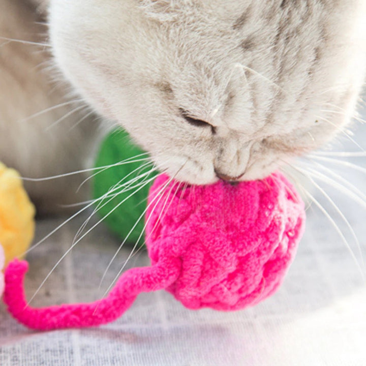 Đồ Chơi Fofos Banh Tròn Nhiều Hình Cho Mèo