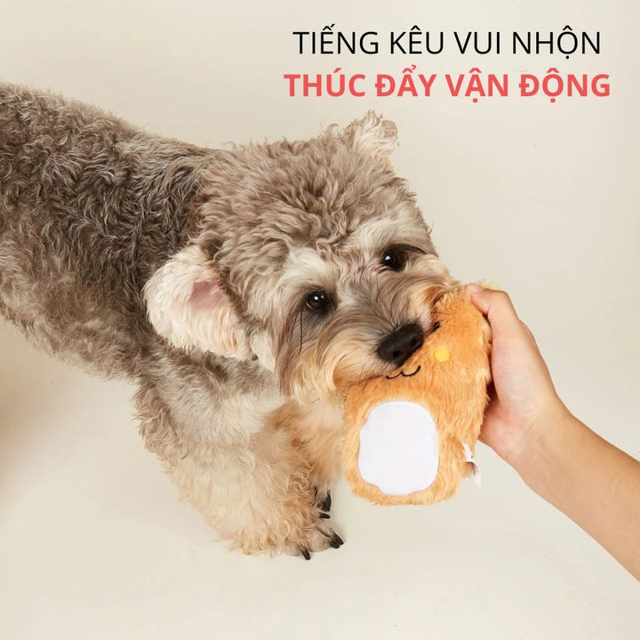 Đồ Chơi Fofos Thú Bông - Xương Gặm Chó